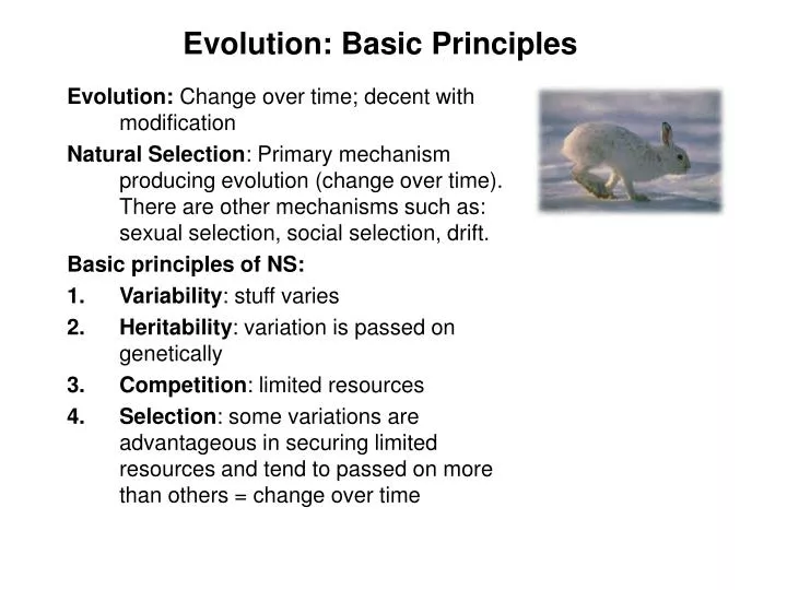 evolution basic principles
