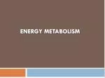Energy metabolism - slide 1