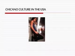 CHICANO CULTURE IN THE USA