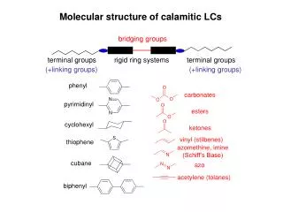 Molecular structure of calamitic LCs