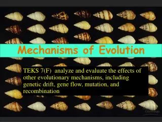 Mechanisms of Evolution