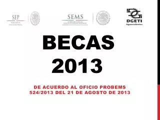 Becas 2013 A EMS