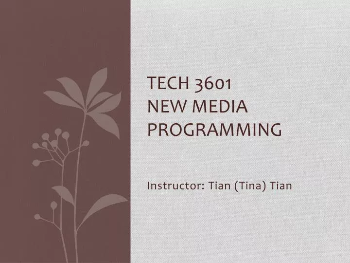 tech 3601 new media programming