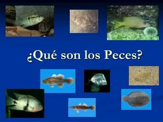 qu son los peces