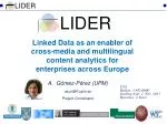 Gómez-Pérez (UPM) asun@fi.upm.es Project Coordinator - slide 1