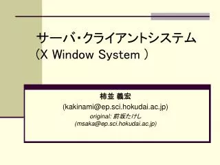 x window system