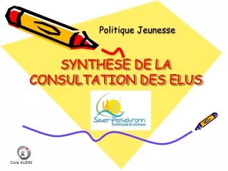 synthese de la consultation des elus