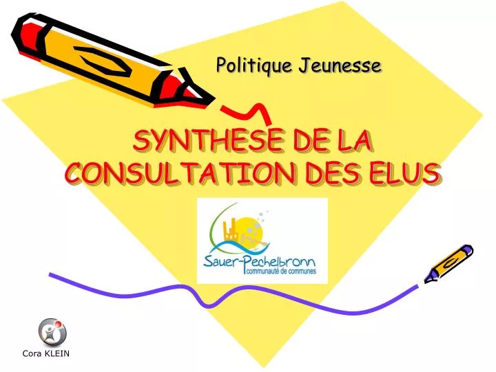 synthese de la consultation des elus