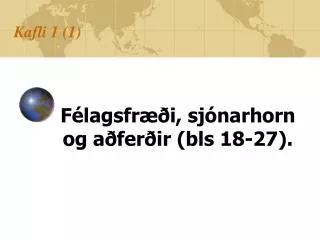 kafli 1 1