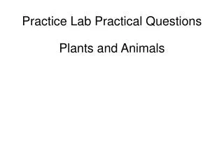 Practice Lab Practical Questions