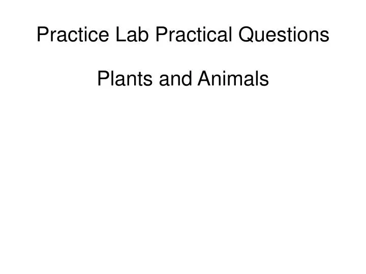 practice lab practical questions