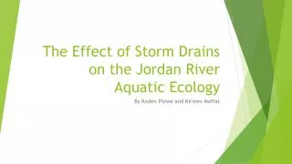 The Effect of Storm D rains on the Jordan River Aquatic Ecology