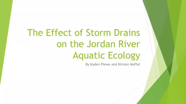 the effect of storm d rains on the jordan river aquatic ecology