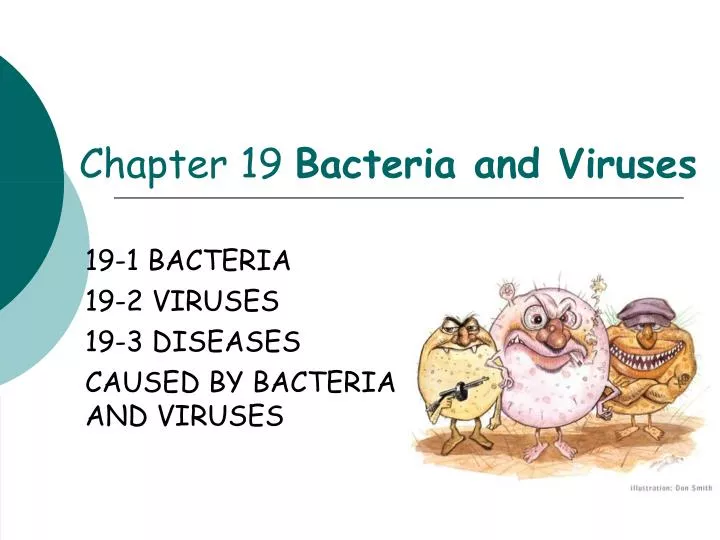 19 1 bacteria 19 2 viruses 19 3 diseases caused by bacteria and viruses