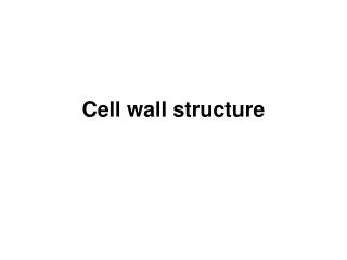 Cell wall structure