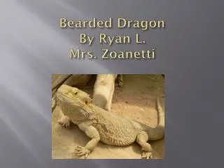 Bearded Dragon By Ryan L. Mrs. Zoanetti