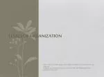 Levels of Organization - slide 1