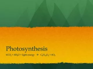 photosynthesis