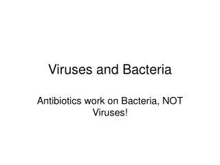 viruses and bacteria