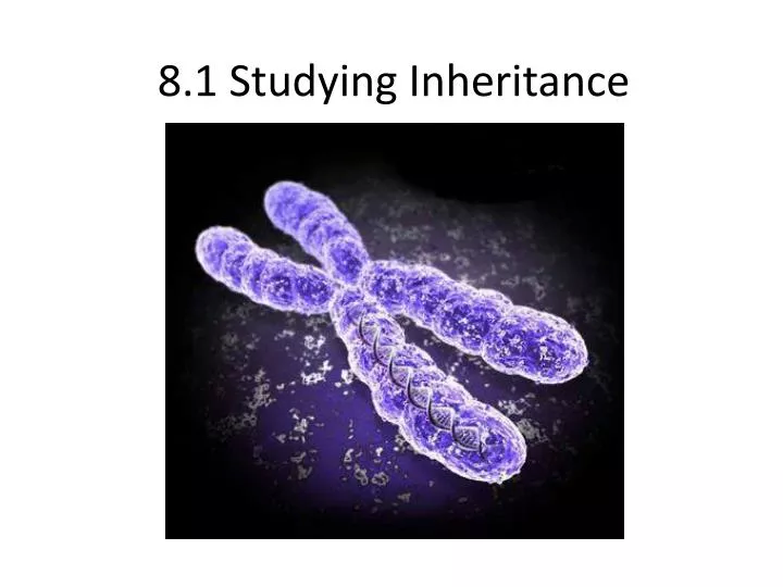 8 1 studying inheritance