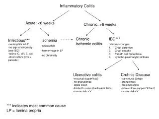 Inflammatory Colitis