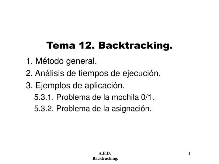 tema 12 backtracking
