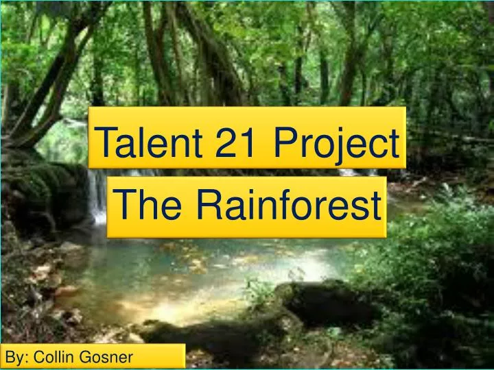 talent 21 project