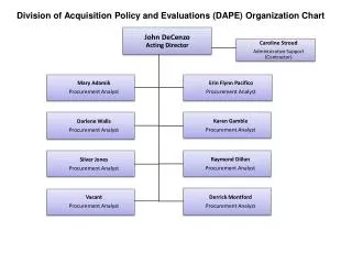 Division of Acquisition Policy and Evaluations (DAPE) Organization Chart
