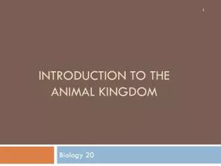 Introduction to the Animal Kingdom