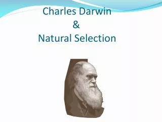 Charles Darwin 				 &amp; Natural Selection