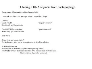 Cloning a DNA segment from bacteriophage
