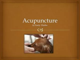 Acupuncture by Emily Thielke