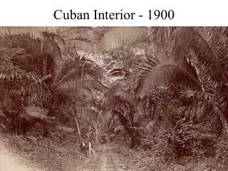 Cuban Interior - 1900