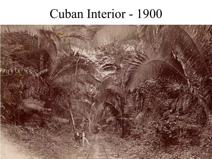 cuban interior 1900