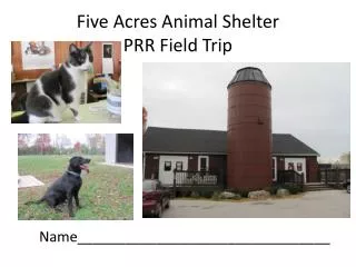 Five Acres Animal Shelter PRR Field Trip
