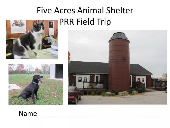five acres animal shelter prr field trip