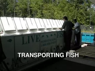 TRANSPORTING FISH