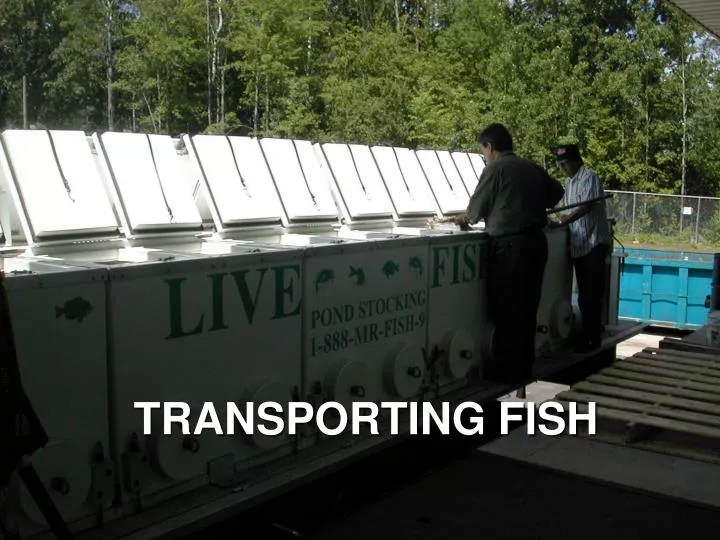 transporting fish