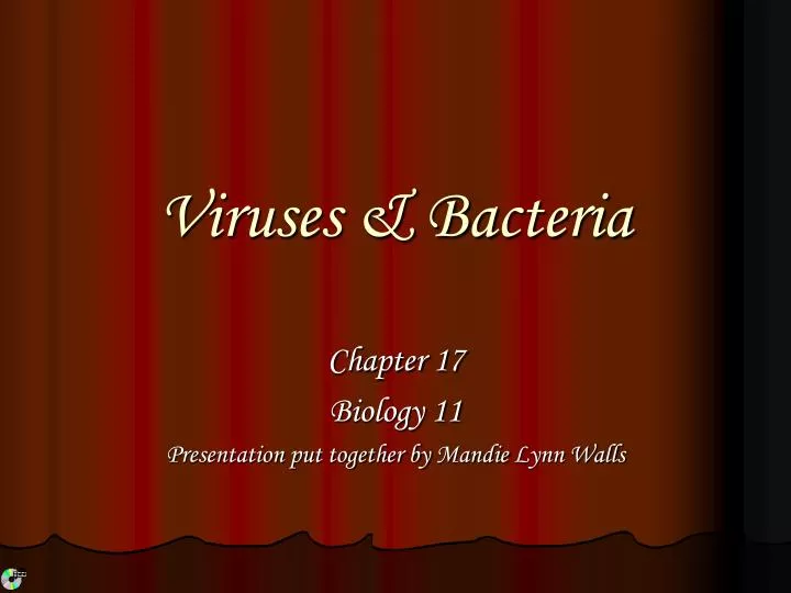 viruses bacteria