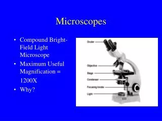 Microscopes