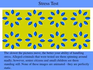 Stress Test