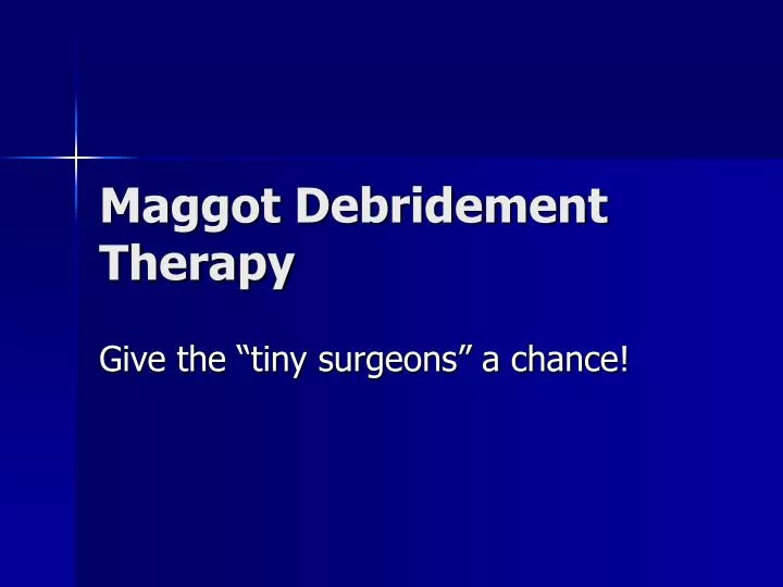 maggot debridement therapy