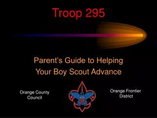 Troop 295
