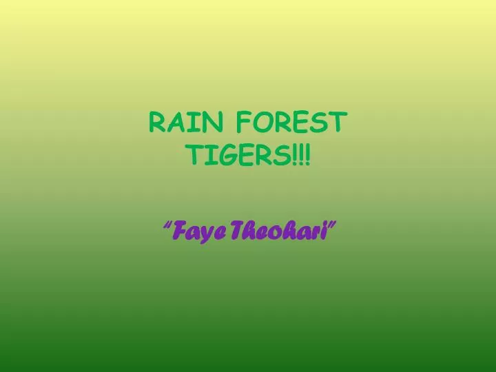 rain forest tigers