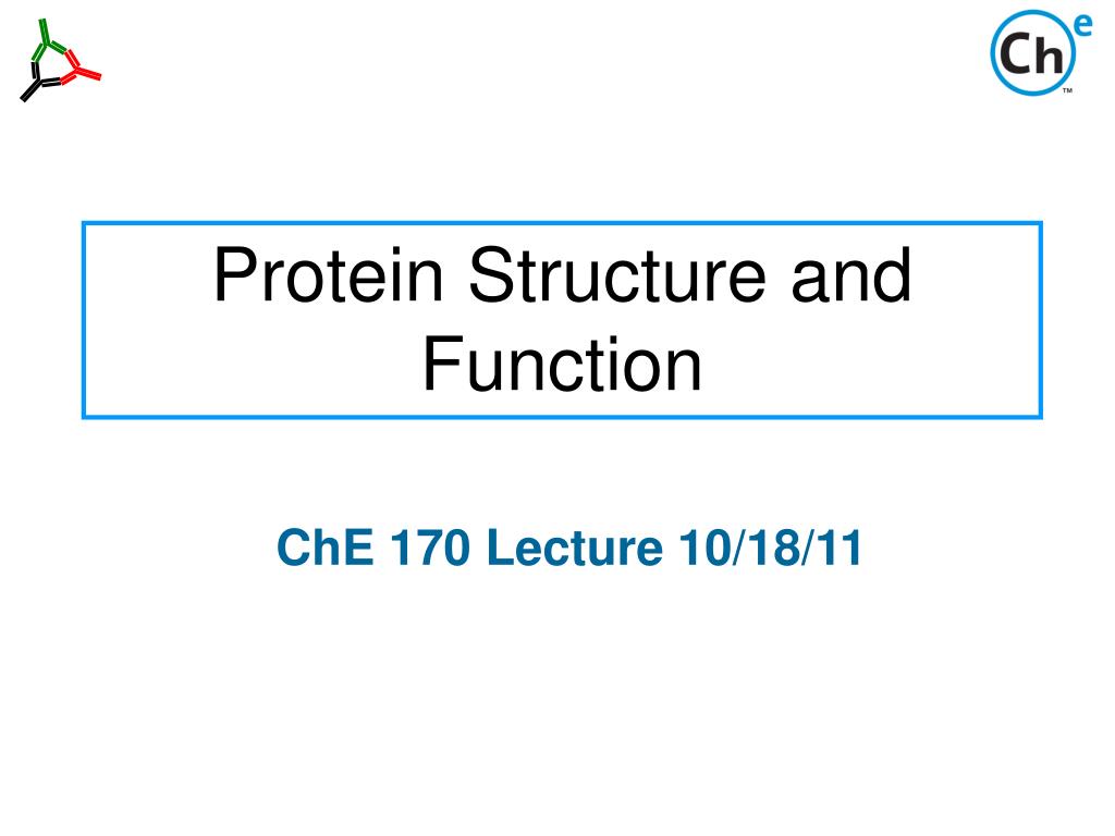 PPT - Protein Structure and Function PowerPoint Presentation, free ...