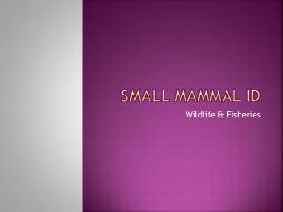 Small Mammal ID