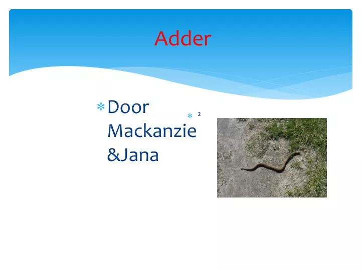 adder