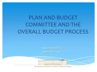 PLAN AND BUDGET COMMITTEE AND THE OVERALL BUDGET PROCESS
