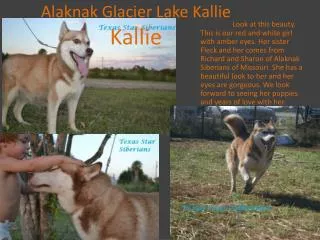 Alaknak Glacier Lake Kallie Kallie