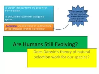 Are Humans Still Evolving?